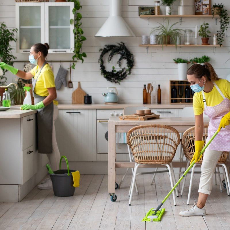 general-cleaning-of-the-kitchen-professional-housekeeping-service-.jpg general-cleaning-of-the-kitchen-professional-housekeeping-service-.jpg